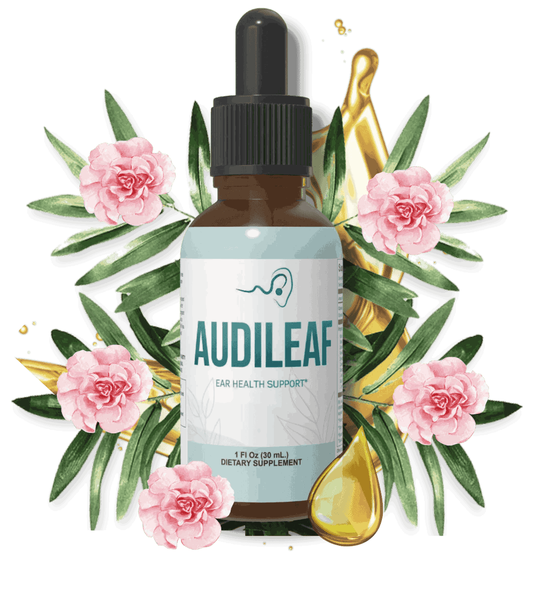  AudiLeaf official